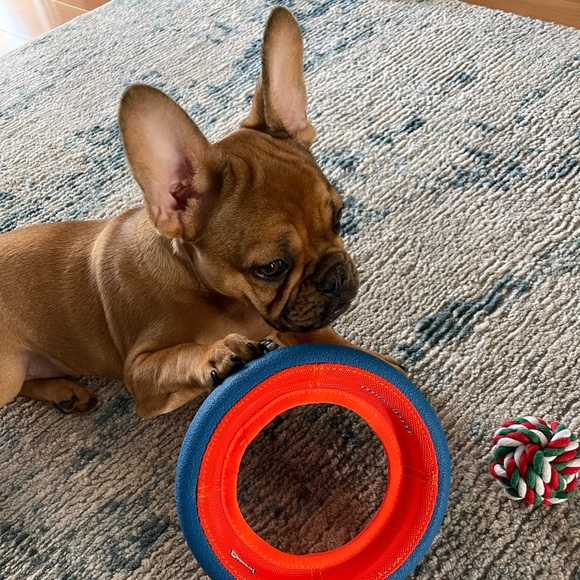 Meet your Posher, Jared - Picture 3 of 5